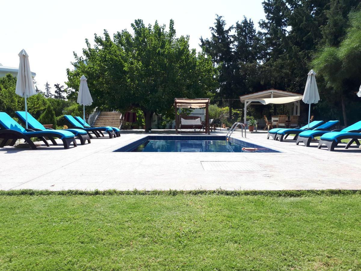 Villa Dora 팔리라키 외부 사진