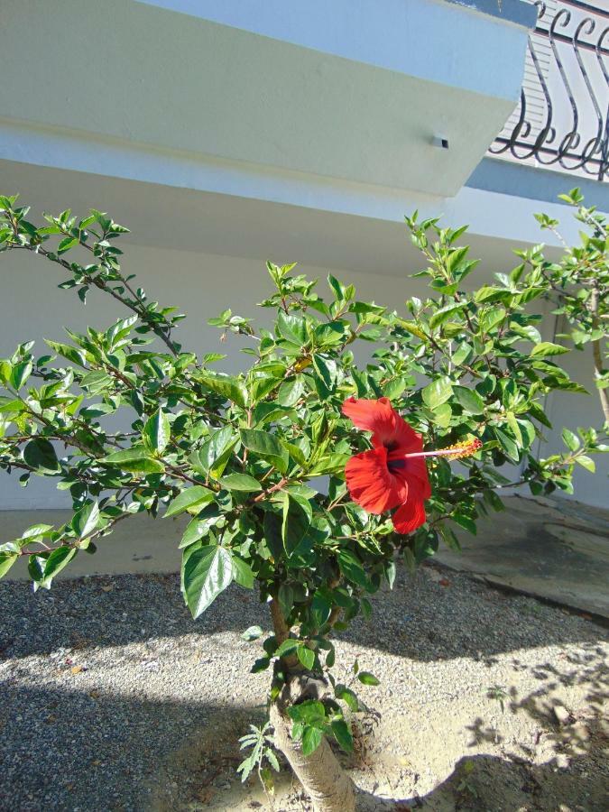 Villa Dora 팔리라키 외부 사진